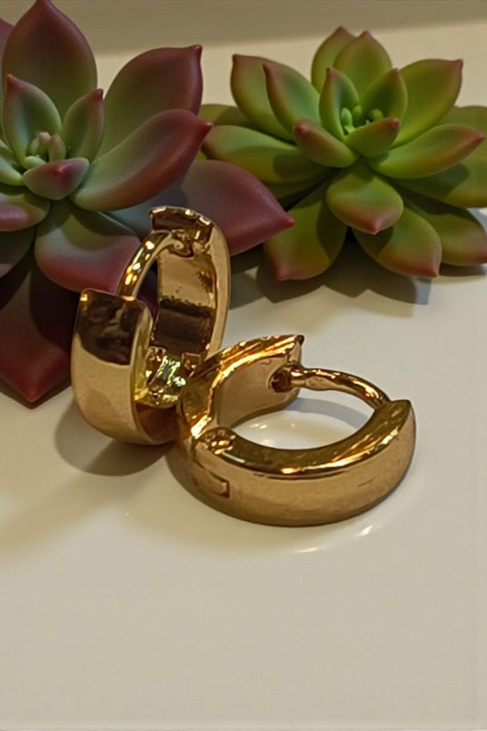 Curved Small Golden Hoop Earing