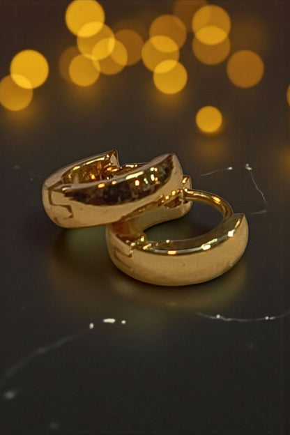 Curved Small Golden Hoop Earing