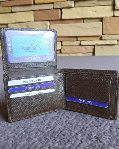 Allen Solly Wallet for Men