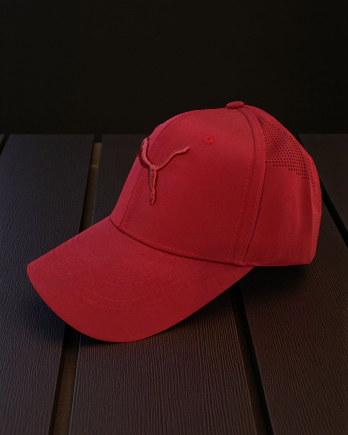Embroidered Puma Baseball Cap
